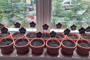 Preșcolarii din grupa mică și grupa mijlocie au „semnat” într-un mod cu totul special.