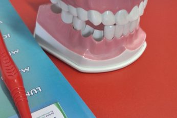 „Săptămâna Verde”